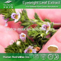 Eyebright Herb Extract Powder, Eyebright Herb Powder, Eyebright P.E.